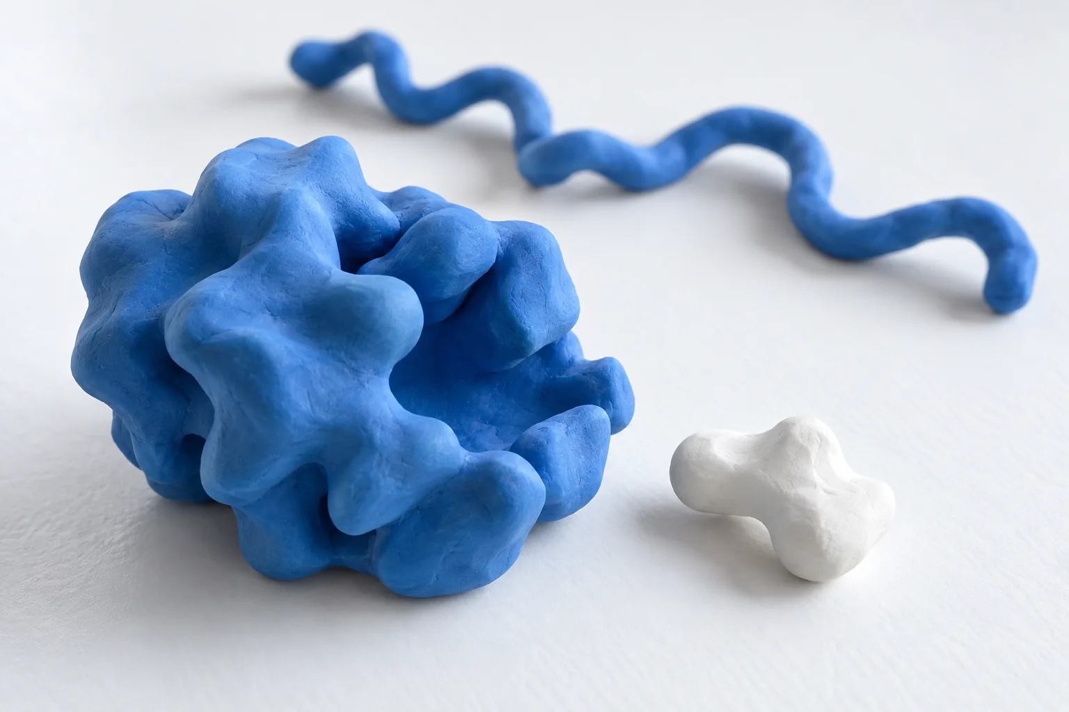 Handmade blue clay props illustrate a folded protein-like shape, a separate white piece and a loose strand